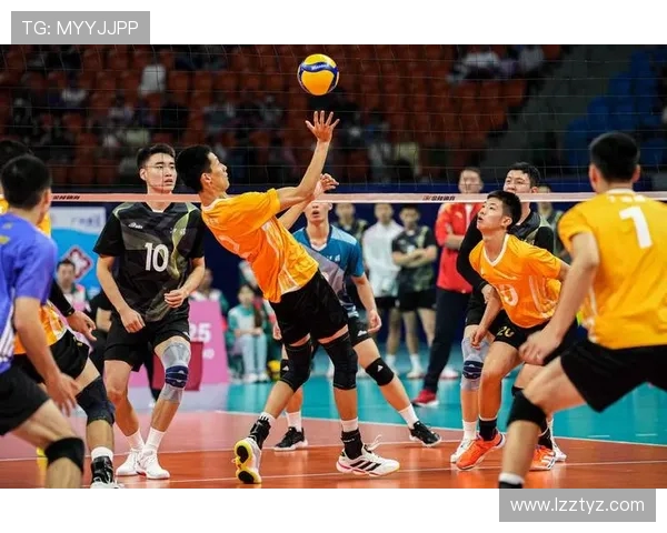 上海排球队进攻革新探索新战术提升整体实力与比赛表现