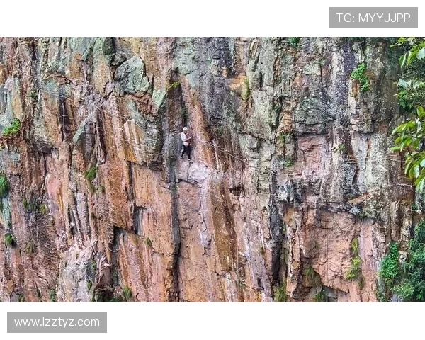 北京极限运动队在攀岩联赛中以88分稳居积分榜首位