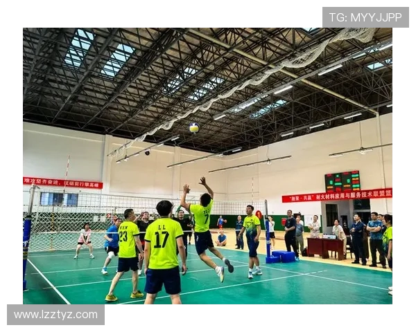 深圳排球队的默契配合与战术探讨聚焦排球的团队精神与协作技巧