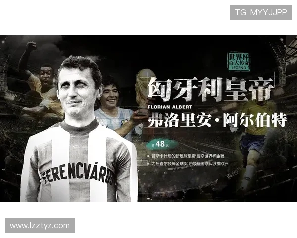 匈牙利与罗马尼亚排球对决精彩回顾与赛场亮点分析 匈牙利与罗马尼亚排球对决精彩回顾与赛场亮点分析